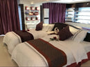Luxury Organic Waterproof Polyester Filling Cotton Fabric Duvet Insert for Hotel & Home Use