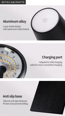 Hotel Cordless Usb Rechargeable Table Lamp Poldina Waterproof Touch Switch Table Lamps for Bedroom Hotel Living Room Restaurant