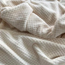 Coral Fleece Blankets For Beds 300gsm Spring Summer Soft Fluffy Faux Fur Mink Throw Solid Sofa Cover Bedspread Plaid Blankets