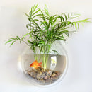 Fish Tanks Home Decoration Wall Mount Fish Tanks Goldfish Bowl Acrylic Hanging Aquariums Flowerpot Flower Vase 15/23CM