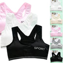 Fitness Sports Bra Women Shockproof Sexy High-Intensity Yoga Bra Bralette Running Gym Vest Cotton Underwear Fashion Sports Bra