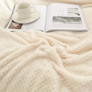 Coral Fleece Blankets For Beds 300gsm Spring Summer Soft Fluffy Faux Fur Mink Throw Solid Sofa Cover Bedspread Plaid Blankets