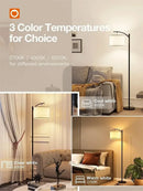 Modern LED Floor Lamp, Standing Arc Floor Lamps with Lantern Lampshade, Tall Reading Light for Bedroom Living Room Office Study