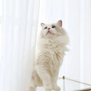Home Decor White Tulle Sheer Curtains for Living Room Bedroom Dining Decor Window Semi Shading Treatment Voile Drape Luxury Door