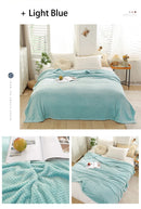 Coral Fleece Blankets For Beds 300gsm Spring Summer Soft Fluffy Faux Fur Mink Throw Solid Sofa Cover Bedspread Plaid Blankets