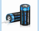 CITYORK 1.5V D Size Battery USB Rechargeable Li-ion Batteries D Lipo R20 LR20 Battery for Gas Stove RC Camera Drone Accessories