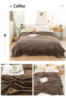 Coral Fleece Blankets For Beds 300gsm Spring Summer Soft Fluffy Faux Fur Mink Throw Solid Sofa Cover Bedspread Plaid Blankets