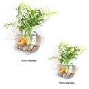 Fish Tanks Home Decoration Wall Mount Fish Tanks Goldfish Bowl Acrylic Hanging Aquariums Flowerpot Flower Vase 15/23CM