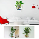 Fish Tanks Home Decoration Wall Mount Fish Tanks Goldfish Bowl Acrylic Hanging Aquariums Flowerpot Flower Vase 15/23CM